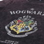 Camiseta de Manga Larga Niño Harry Potter Gris Gris oscuro 10 Años