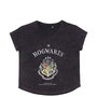 Camiseta corta single jersey harry potter talla m