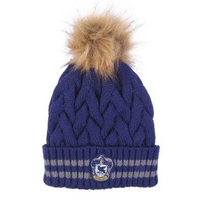 Gorro Infantil Harry Potter Azul oscuro (Talla única) Gorro Infantil Harry Potter Azul oscuro (Talla única)