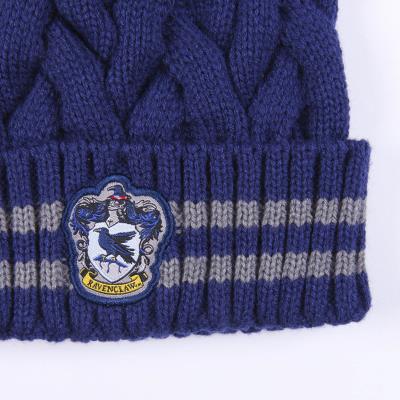 Gorro Infantil Harry Potter Azul oscuro (Talla única) Gorro Infantil Harry Potter Azul oscuro (Talla única)