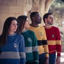 Cerdá Jersey Punto Tricot Harry Potter Amarillo M