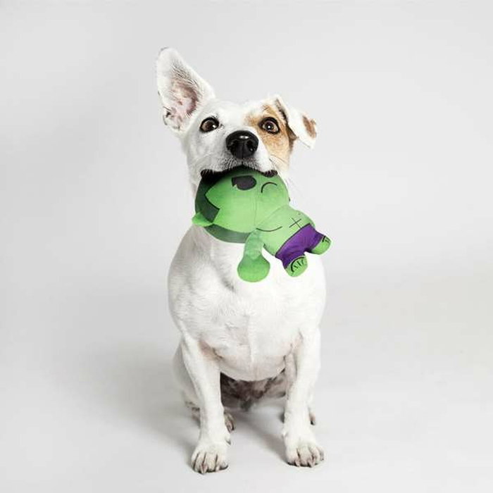 Cerdá Peluche Para Perro Avengers Verde