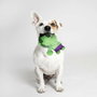 Cerdá Peluche Para Perro Avengers Verde