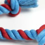 Cerdá Cuerda Dental Para Perro Spiderman Rojo