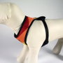 Arnés Para Perros Xs-S Disney Pride Multicolor XS-S