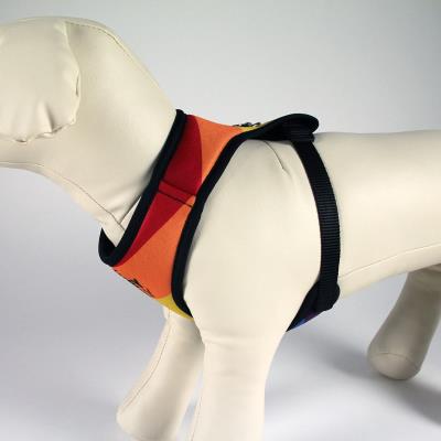 Arnés Para Perros S-M Disney Pride Multicolor S-M Arnés Para Perros S-M Disney Pride Multicolor S-M