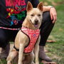 Cerdá Arnés para Perros Marvel XXS/XS Rojo