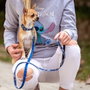 Cerdá Collar Premium Para Perros Stitch Talla XS-S Dark Blue