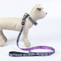 Cerdá Collar Premium Para Perros Disney Villanas XS/S Gris