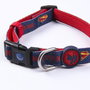 Collar Premium Para Perros M-L Dc Pets Azul M-L