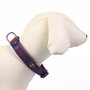 Collar Premium Para Perros M-L Dc Pets Azul M-L