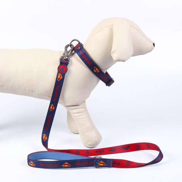 DC Pets t2s:s Correa Premium para Perros, Talla S, Azul