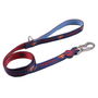 DC Pets t2s:s Correa Premium para Perros, Talla S, Azul