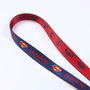 DC Pets t2s:s Correa Premium para Perros, Talla S, Azul