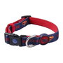 Dc Pets Collar para Perros Talla XS-S Azul