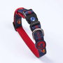 Dc Pets Collar para Perros Talla XS-S Azul