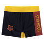 Bañador Boxer Para Niños Harry Potter Multicolor 12 Años