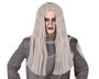 Peluca Halloween Bruja Gris Largo 60 cm - Adulto, Cabello Liso, Aire Fantasmal