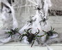 Pack Decoración Halloween Telaraña y Araña Negra para Ambiente Fantasmagórico
