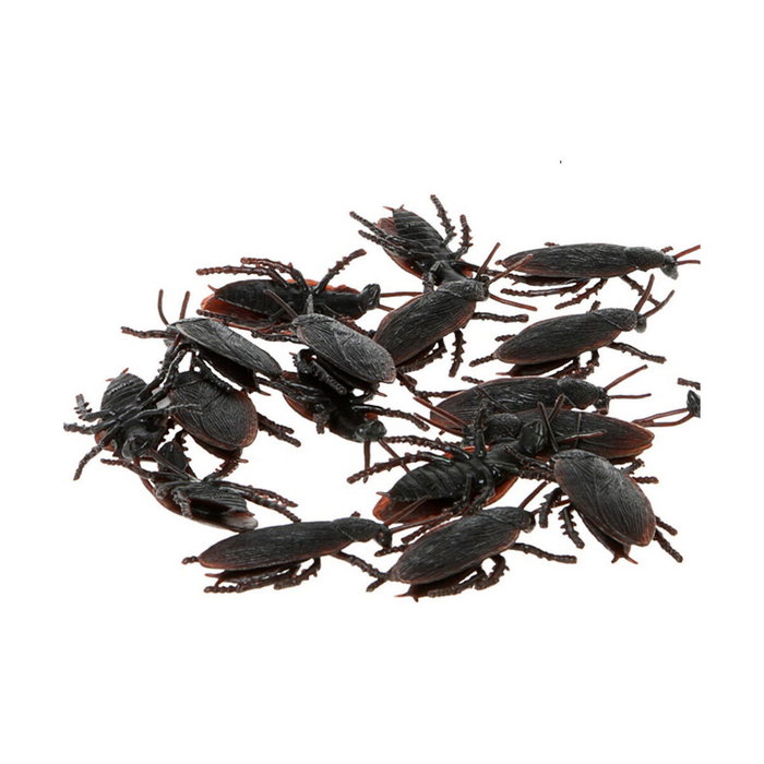 Atosa Pack 12 Cucarachas Negras para Decoración de Halloween Adulto Atosa Pack 12 Cucarachas Negras para Decoración de Halloween Adulto