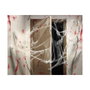 Atosa Telaraña Decorativa para Halloween - Blanco con Arañas Negras (200g) inevitable para decoración de fiestas, puertas y ventanas