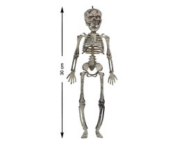 Esqueleto Colgante Completo Articulado 30 cm para Decoración de Halloween y Fiestas Temáticas