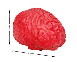 Cerebro Decorativo Rojo Intenso 15x11 cm