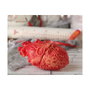 Halloween Depot Corazón Humano Decorativo Realista Rojo 17x9 cm