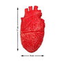 Halloween Depot Corazón Humano Decorativo Realista Rojo 17x9 cm
