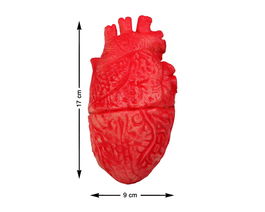 Corazón Humano Decorativo 17x9 cm en Color Rojo Vivo