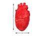 Halloween Depot Corazón Humano Decorativo Realista Rojo 17x9 cm