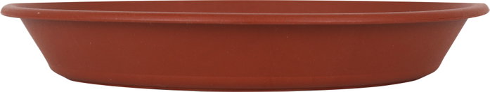 Greentime Bajo Plato 14 cm (Maceta 16) (12 Unidades)