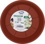 Greentime Bajo Plato 14 cm (Maceta 16) (12 Unidades)