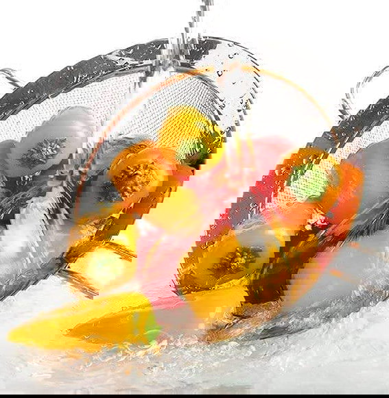 Quttin Colador Acero Inox 10 cm (24 Unidades) Quttin Colador Acero Inox 10 cm (24 Unidades)