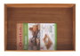 Quttin Bandeja Bambú 40 x 27 x 4.6 cm (6 Unidades)
