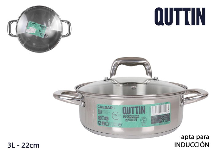 Quttin New Caesar Cacerola con Tapa de Acero Inoxidable de 22 cm, 3 L (6 Unidades) Quttin New Caesar Cacerola con Tapa de Acero Inoxidable de 22 cm, 3 L (6 Unidades)
