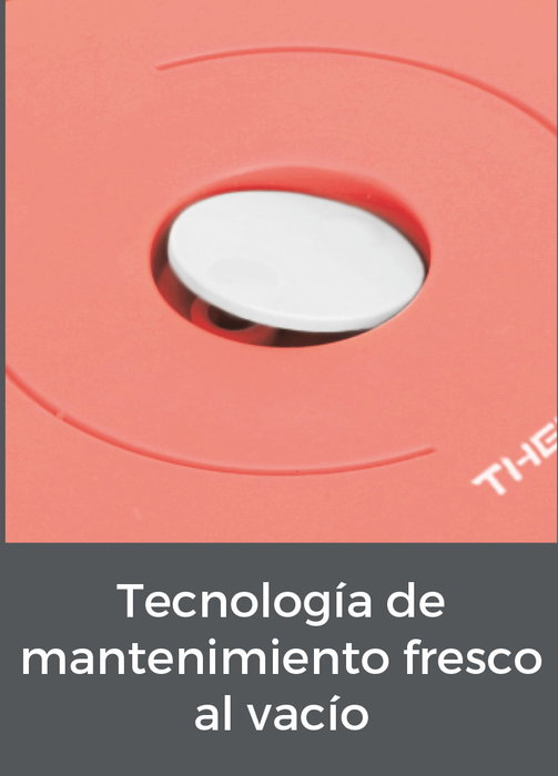 Thermosport Fiambrera Plástico-Acero 0.6L | Set de 2 | 15.7 cm (Ancho) x 13 cm (Alto) x 15.3 cm (Largo) (6 Unidades) Thermosport Fiambrera Plástico-Acero 0.6L | Set de 2 | 15.7 cm (Ancho) x 13 cm (Alto) x 15.3 cm (Largo) (6 Unidades)