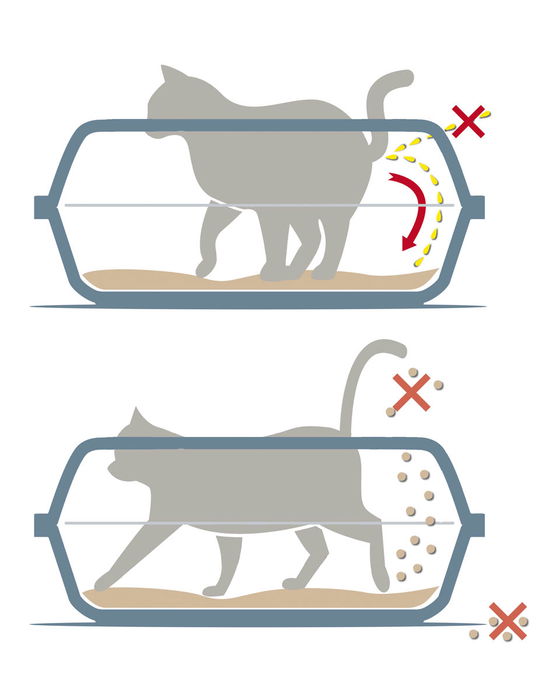 Georplast Cama Arena Sonic Medium 44.5 cm (33.3 x 44.1 x 11.1 cm) (7 Unidades)