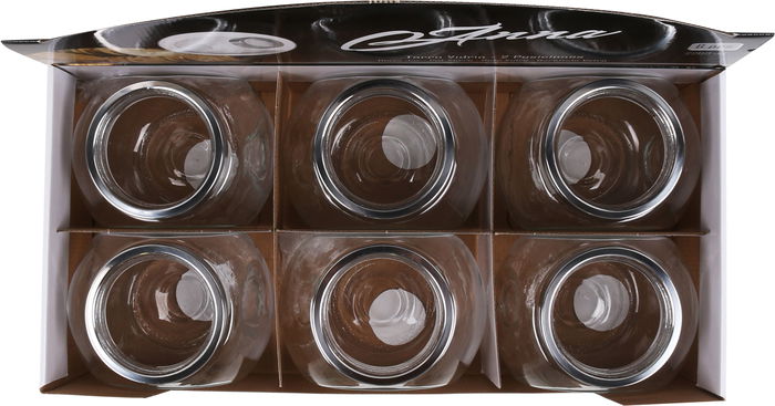 Anna Tarro Vidrio 2 Posiciones 2200 ml 12.7 cm x 17.4 cm x 17 cm (12 Unidades)