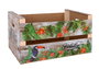 Confortime Caja Wood Brillo 44 cm x 28.5 cm x 23 cm (3 Unidades)