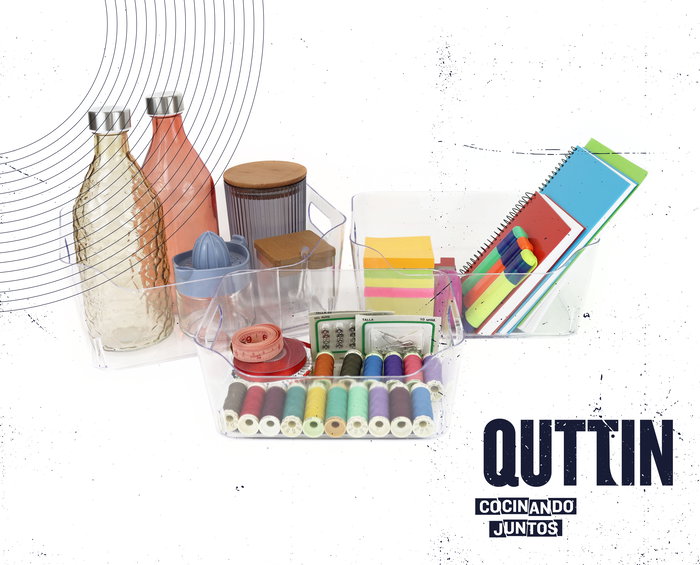 Quttin Organizador Multiusos con Tapa 27x19x11,5 cm, para Hogar u Oficina (12 Unidades)