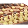 Cayro Juego de Ajedrez y Damas magnético 24x24 cm