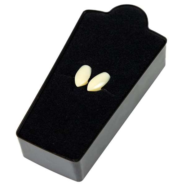 My Other Me Colmillos Scarecrow S Talla One Size