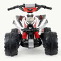 Injusa Quad Batería The Beast Mercedes 12V