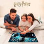 REDSTRING Puzzle 3D Lenticular Harry Potter 500 Piezas