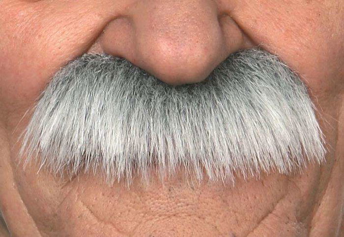 My Other Me Bigote Canoso Talla Única Adulto