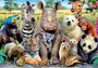 Educa Puzzle 300 piezas Foto de Clase Animales Salvajes
