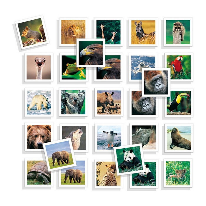 Diset Juego Memo Photo Animales de 54 fichas Diset Juego Memo Photo Animales de 54 fichas