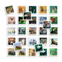 Diset Juego Memo Photo Animales de 54 fichas