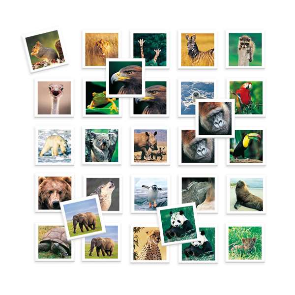 Diset Juego Memo Photo Animales de 54 fichas Diset Juego Memo Photo Animales de 54 fichas